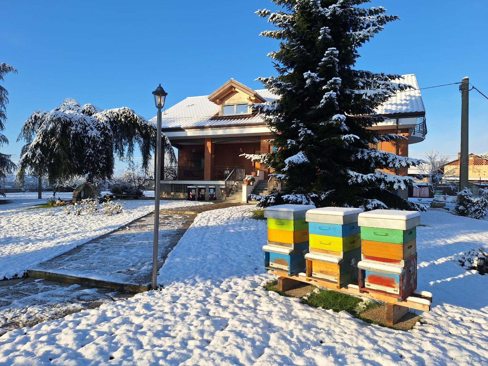 Casa Matilde Villa Leini Bagian luar foto